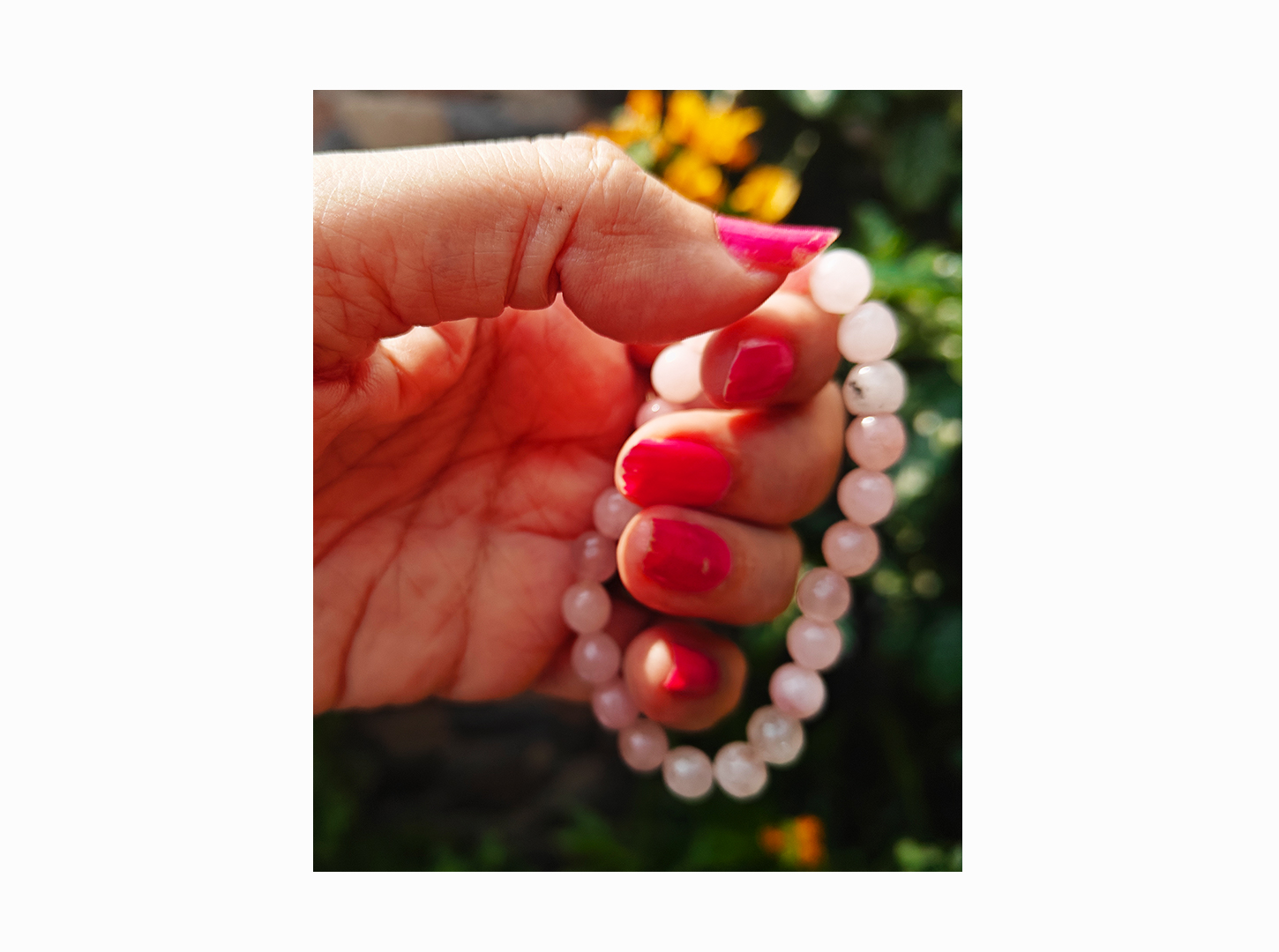 Product Image 513
